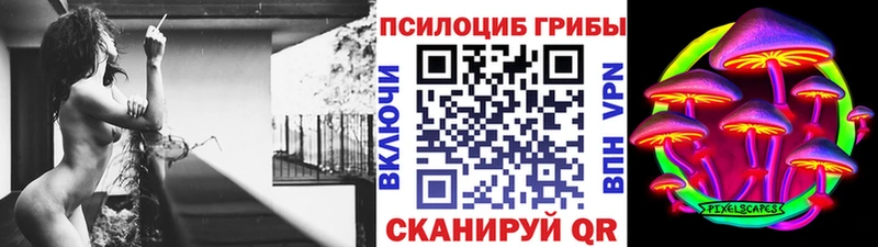 shop формула  где можно купить   Бугульма  Псилоцибиновые грибы Psilocybine cubensis  blacksprut маркетплейс 